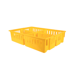 BANDEJA DE TRANSPORTE POLLITO